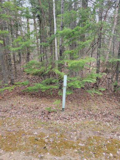 Power Near Property Line