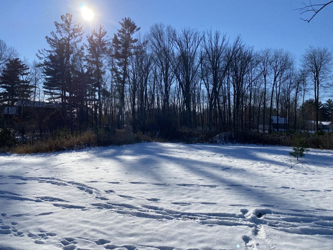 Photo for Lot 41 Sunflower Way, Amery, WI 54001 - Listing #6193396 Lot 41 Sunflower Way, Amery, WI 54001