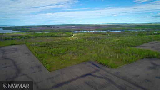 TBD State Hwy 172 Cliff, Baudette, MN 56623