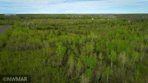 Photo for TBD State Hwy 172 Cliff, Baudette, MN 56623 - Listing #6194458 TBD State Hwy 172 Cliff, Baudette, MN 56623
