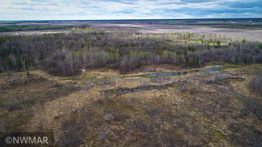 Photo for TBD State Hwy 172 Cliff, Baudette, MN 56623 - Listing #6194458 TBD State Hwy 172 Cliff, Baudette, MN 56623