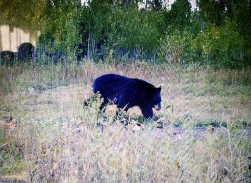 Photo for TBD State Hwy 172 Cliff, Baudette, MN 56623 - Listing #6194458 TBD State Hwy 172 Cliff, Baudette, MN 56623