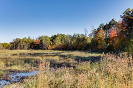 Mixture of high-ground and wetlands perfect for hunting