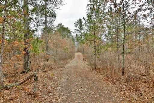 N12114 Gomoll Drive, Minong, WI 54859