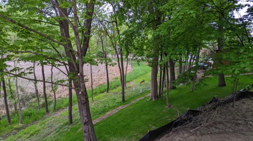 95 Birch Bluff Road, Excelsior, MN 55331