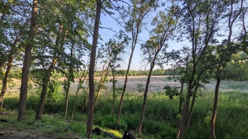95 Birch Bluff Road, Excelsior, MN 55331