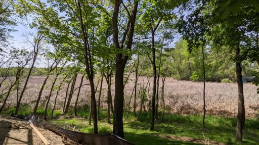 95 Birch Bluff Road, Excelsior, MN 55331