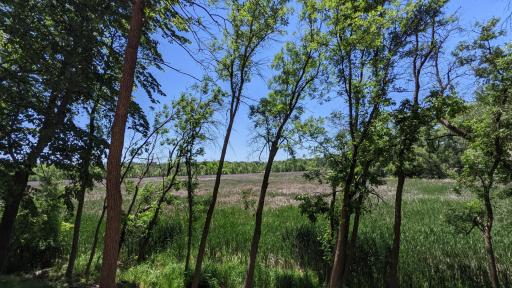 95 Birch Bluff Road, Excelsior, MN 55331