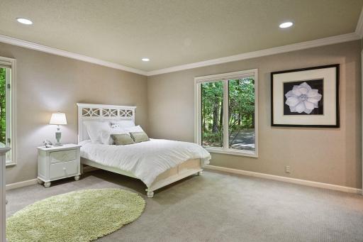 Main floor bedroom (Junior suite)