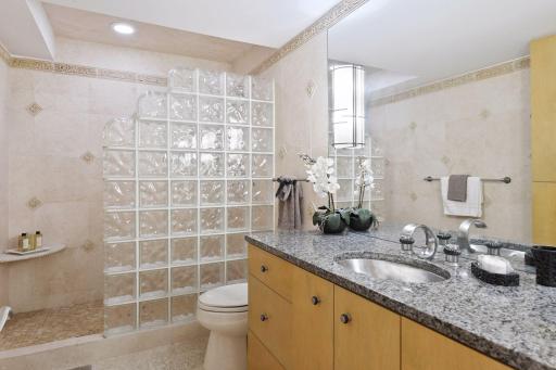 Lower level 3/4 bath