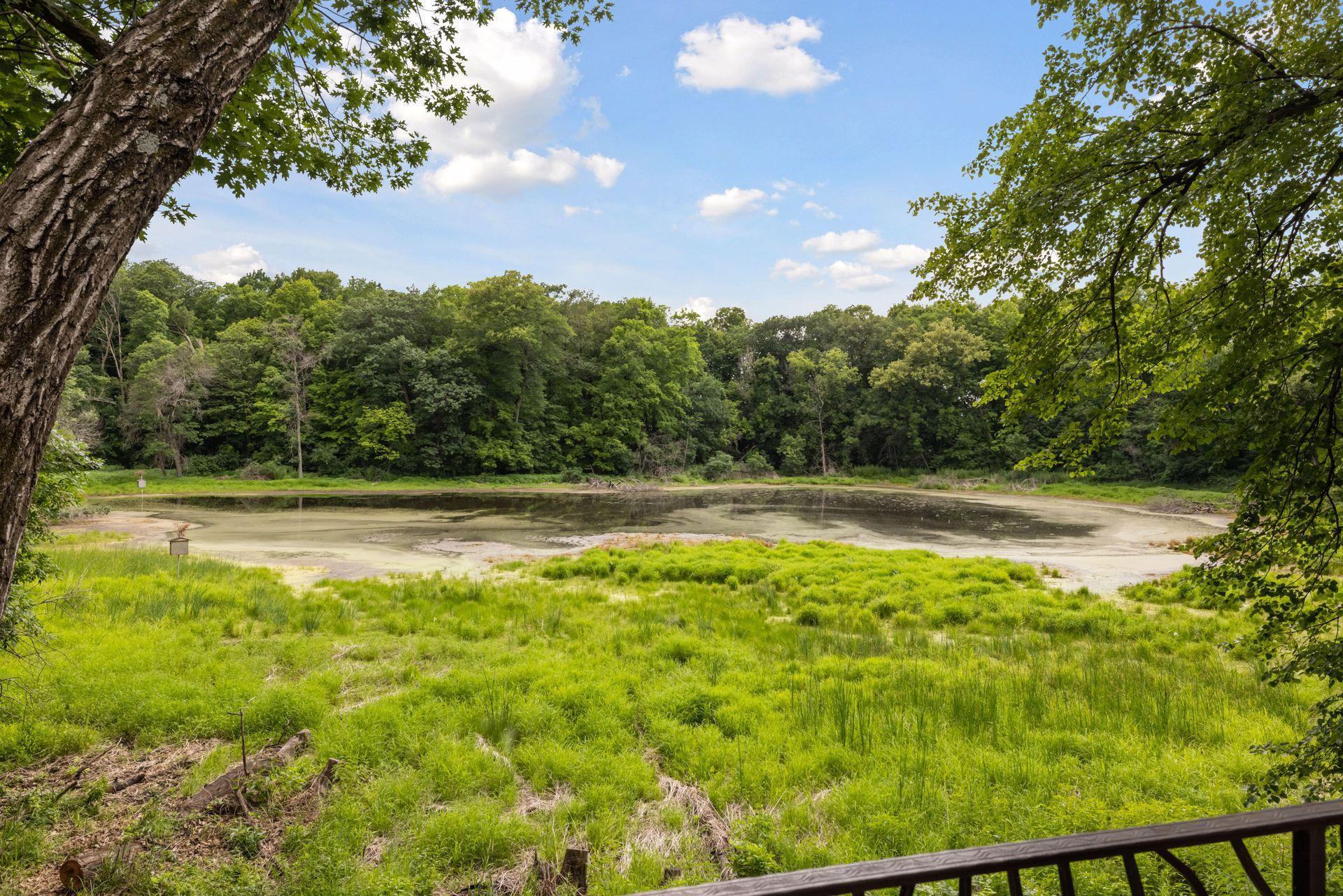 Pond is treated by Lake Restoration - current conditions are too dry to treat.