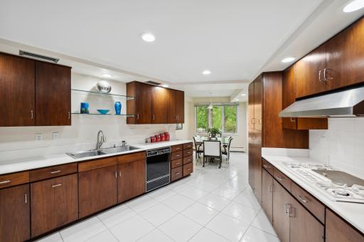 Corian counters and PLENTY of storage. Gas stove top, new stainless range top and automatic hot water.