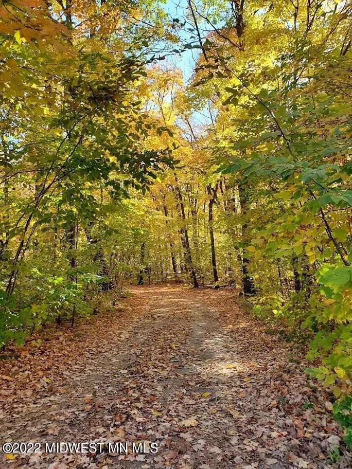 Driveway in Fall
