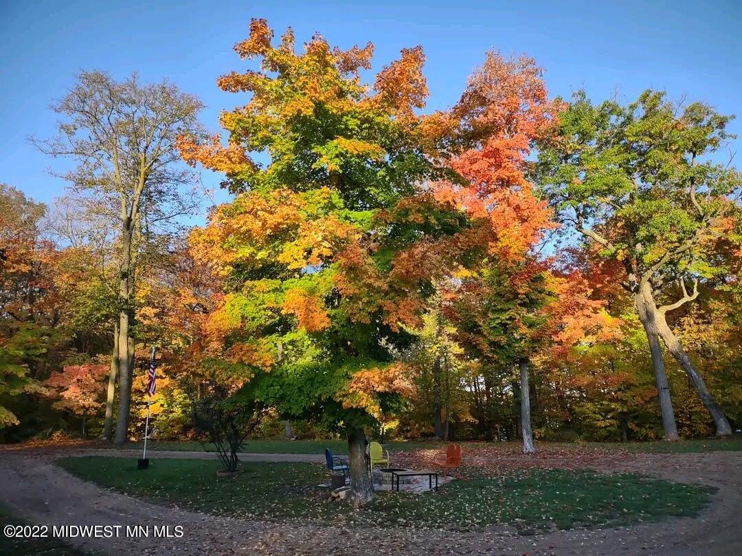 Fall yard picture