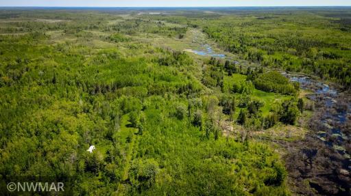 North Branch of the Battle River.jpg
