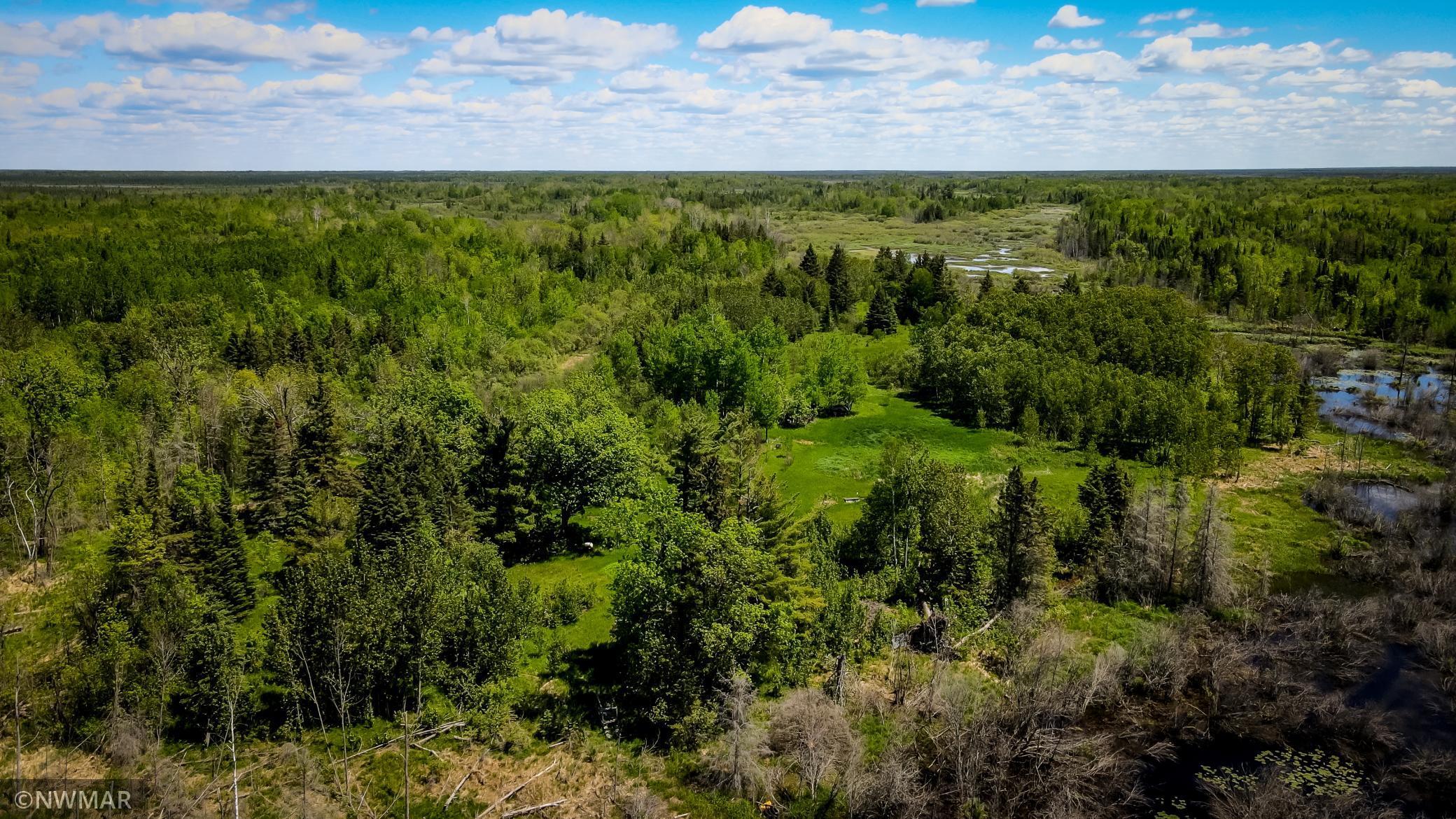 Photo for TBD Watson Drive NE, Kelliher, MN 56650 - Listing #6218941 236 Acres