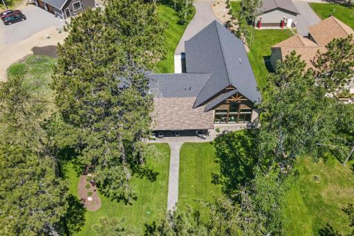 Arial view of the tall pines surrounding the home.