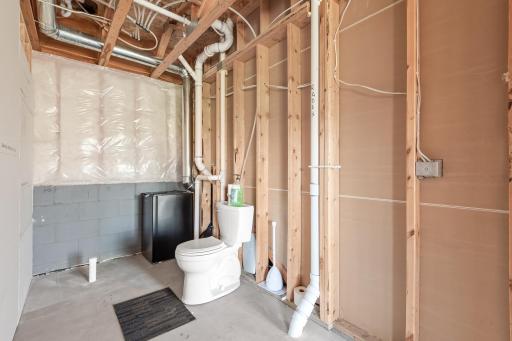 lower level bath started