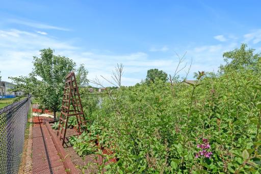 raised garden beds and apple trees