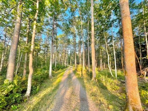 20 Shared Trail to the dock.jpeg