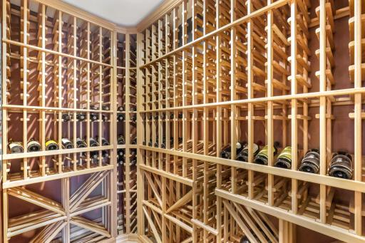 Got wine? Beautiful 550 bottle wine cellar.