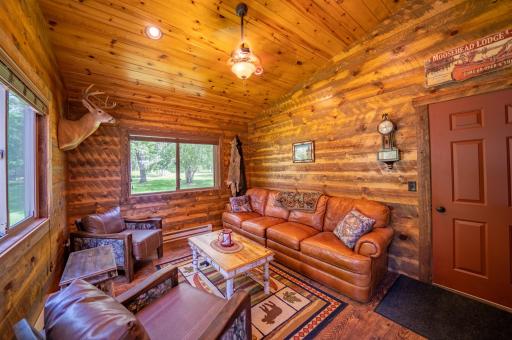 35147 Pine Terrace Road, Crosslake, MN 56442