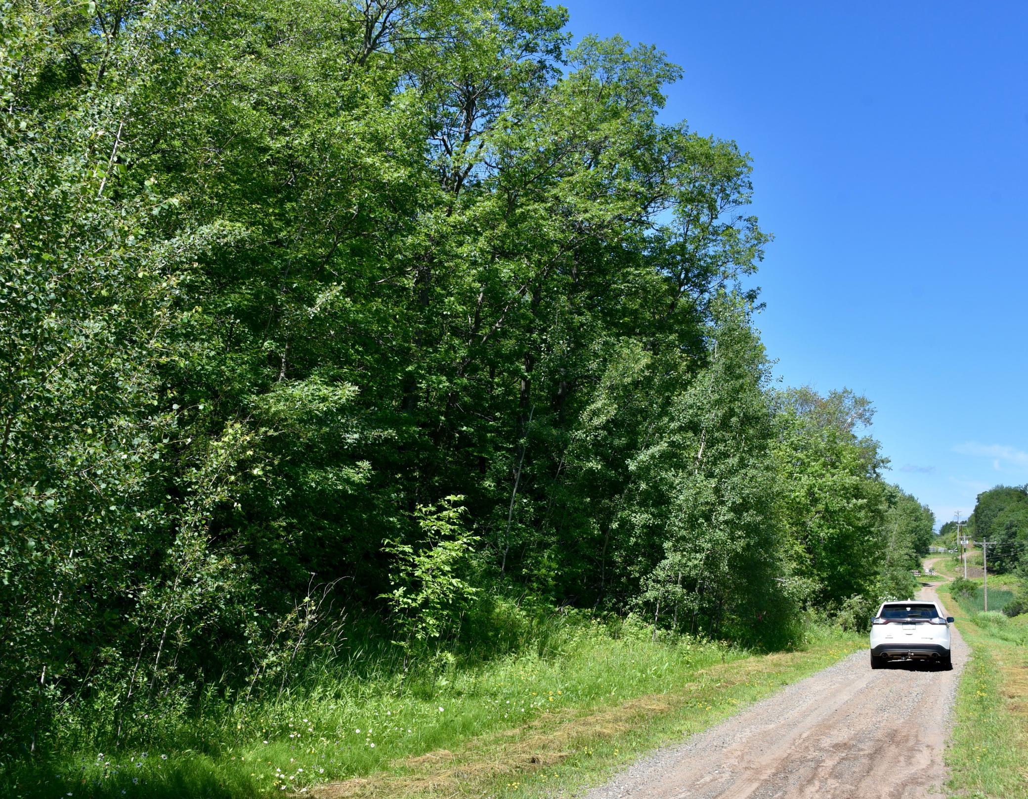 DSC_0685.JPG