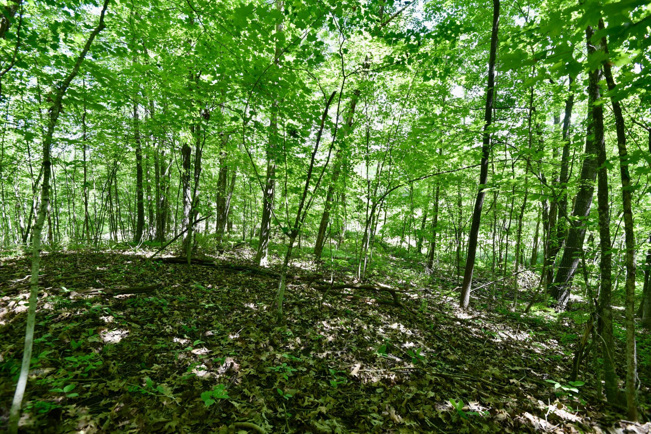 DSC_0695.JPG