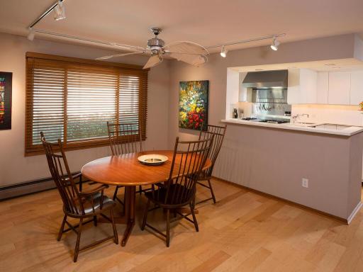 3243 E Bde Maka Pkwy Minneapolis Minneapolis MN 55408 USA-028-019-028-MLS_Size.jpg