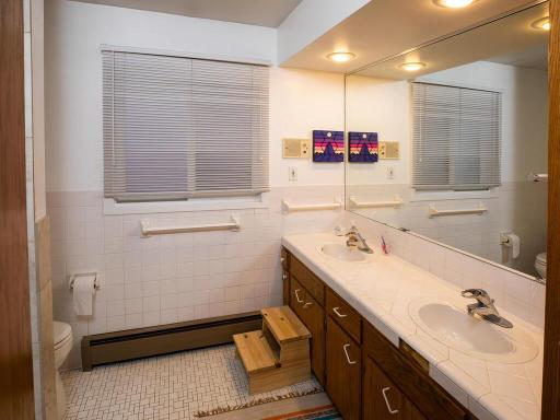 3243 E Bde Maka Pkwy Minneapolis Minneapolis MN 55408 USA-047-040-046-MLS_Size.jpg