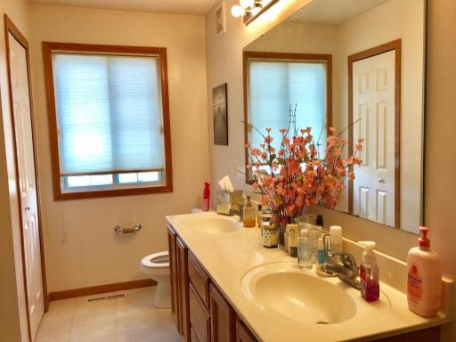 9613 Peony Lane N, Maple Grove, MN 55311