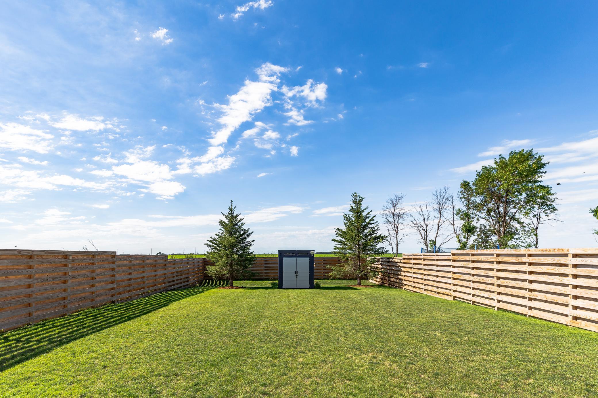 Suncast Shed and beautiful mature pine trees
