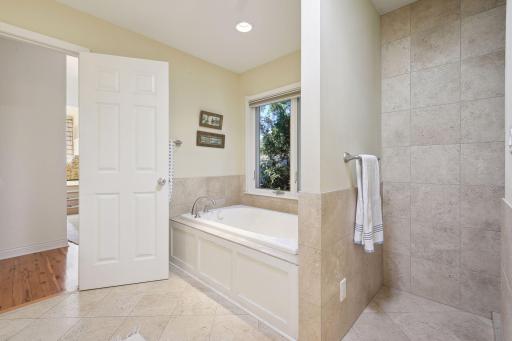 A large soaking tub, walk-in shower, private toilet & bidet room, Skylight for additional daylight and walk-in closet with custom organization built-ins complete the Master bathroom.