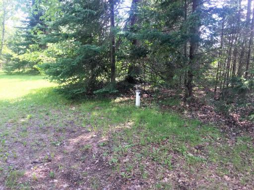 31650 Wabana Road, Grand Rapids, MN 55744