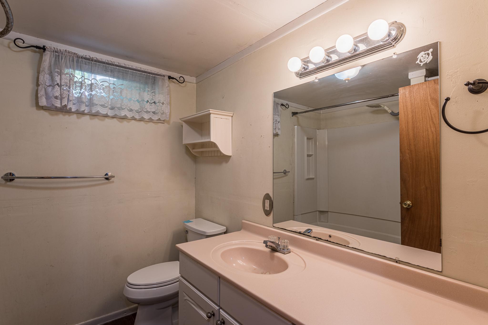 Lower Level Bathroom