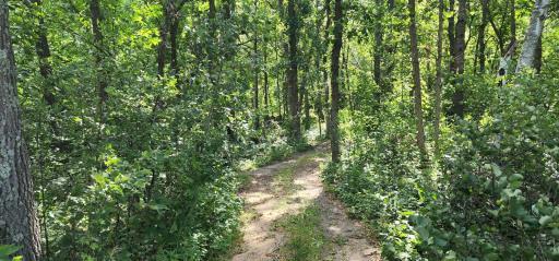 Photo for TBD Channel Road, Breezy Point, MN 56472 - Listing #6244325 TBD Channel Road, Breezy Point, MN 56472