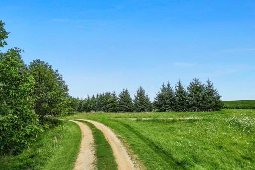 20691 County 13, Houston, MN 55943