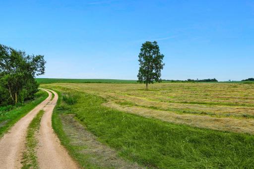 20691 County 13, Houston, MN 55943