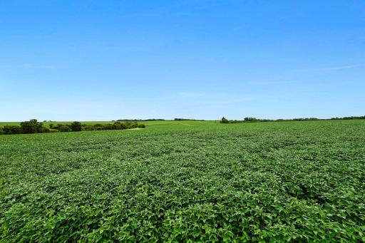 20691 County 13, Houston, MN 55943