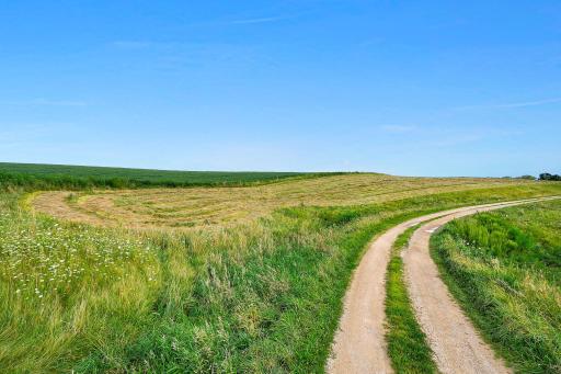 20691 County 13, Houston, MN 55943