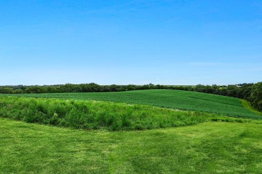 20691 County 13, Houston, MN 55943