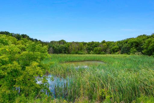 20691 County 13, Houston, MN 55943