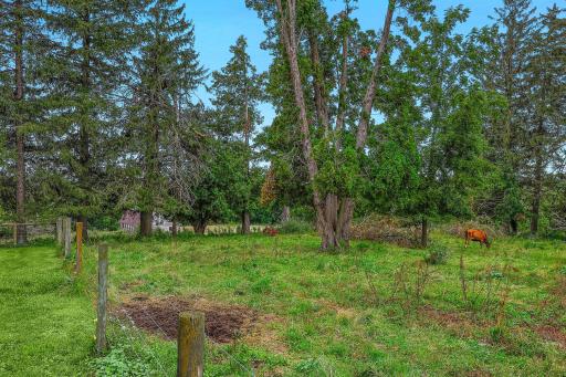 20691 County 13, Houston, MN 55943