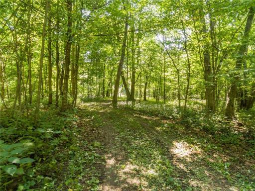 Lot 4 186th Ave., Balsam Lake, WI 54810