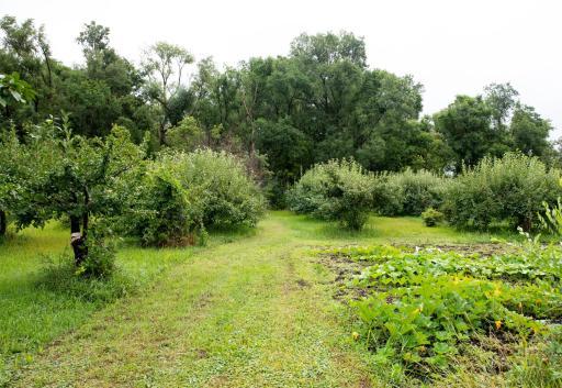 Photo for 21474 430th Avenue, Morris, MN 56267 - Listing #6251438 21474 430th Avenue, Morris, MN 56267