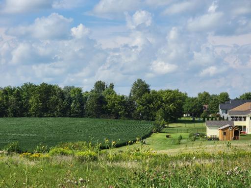 Photo for 830 Main Avenue S, Harmony, MN 55939 - Listing #6251465 830 Main Avenue S, Harmony, MN 55939