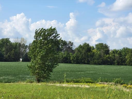 Photo for 830 Main Avenue S, Harmony, MN 55939 - Listing #6251465 830 Main Avenue S, Harmony, MN 55939