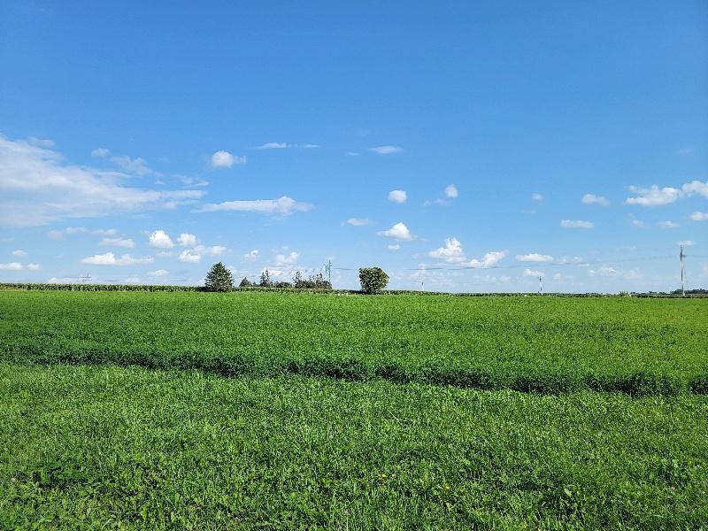 Photo for Lot 5,Bk 2 3rd Avenue S, Harmony, MN 55939 - Listing #6251545 Lot 5,Bk 2 3rd Avenue S, Harmony, MN 55939