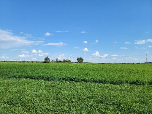 Photo for Lot 5,Bk 2 3rd Avenue S, Harmony, MN 55939 - Listing #6251545 Lot 5,Bk 2 3rd Avenue S, Harmony, MN 55939
