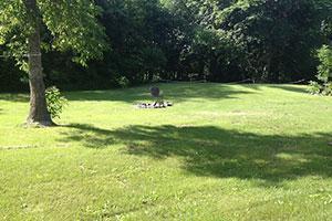 38274 County Highway 44, Richville, MN 56576